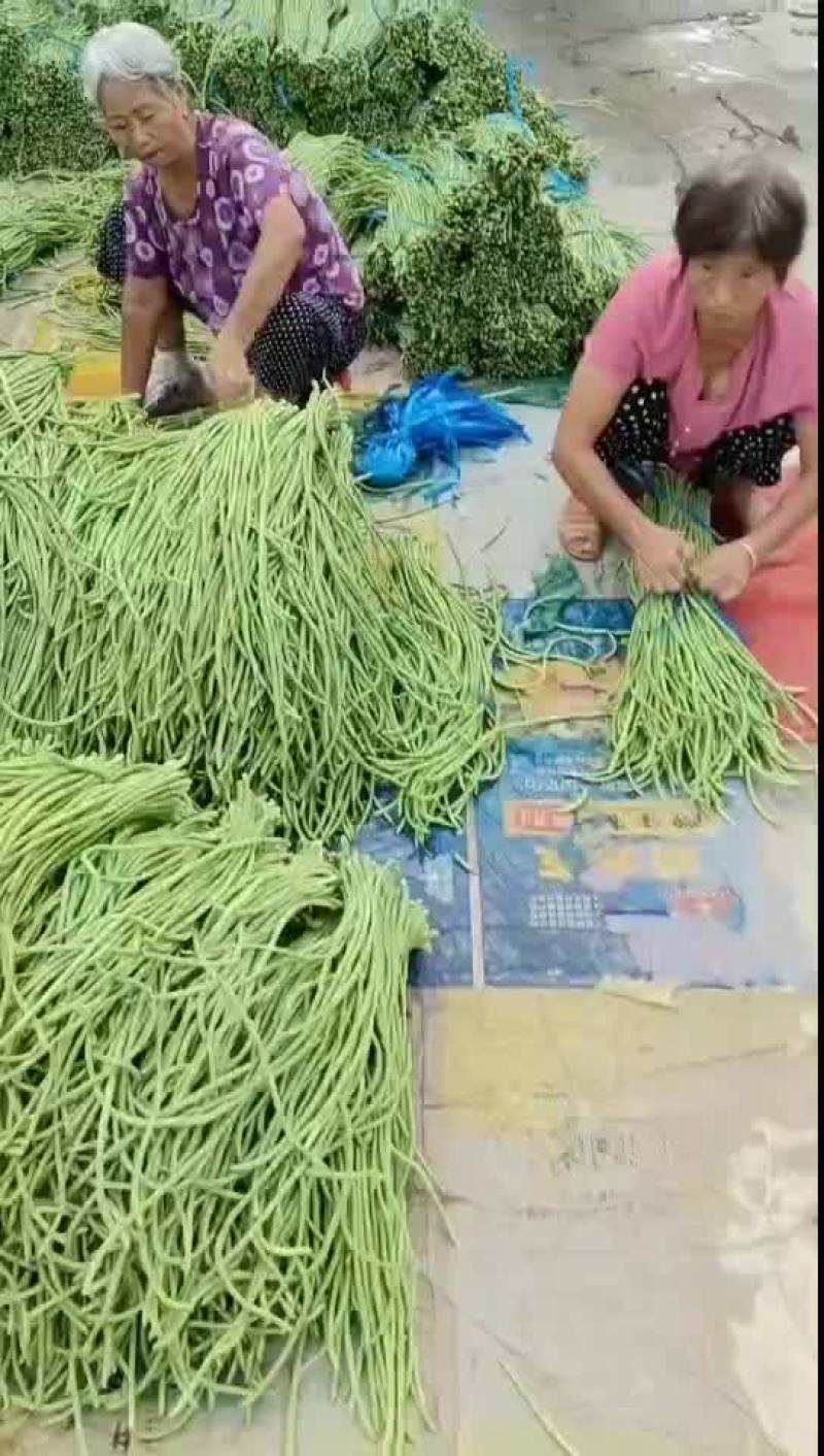 豆角