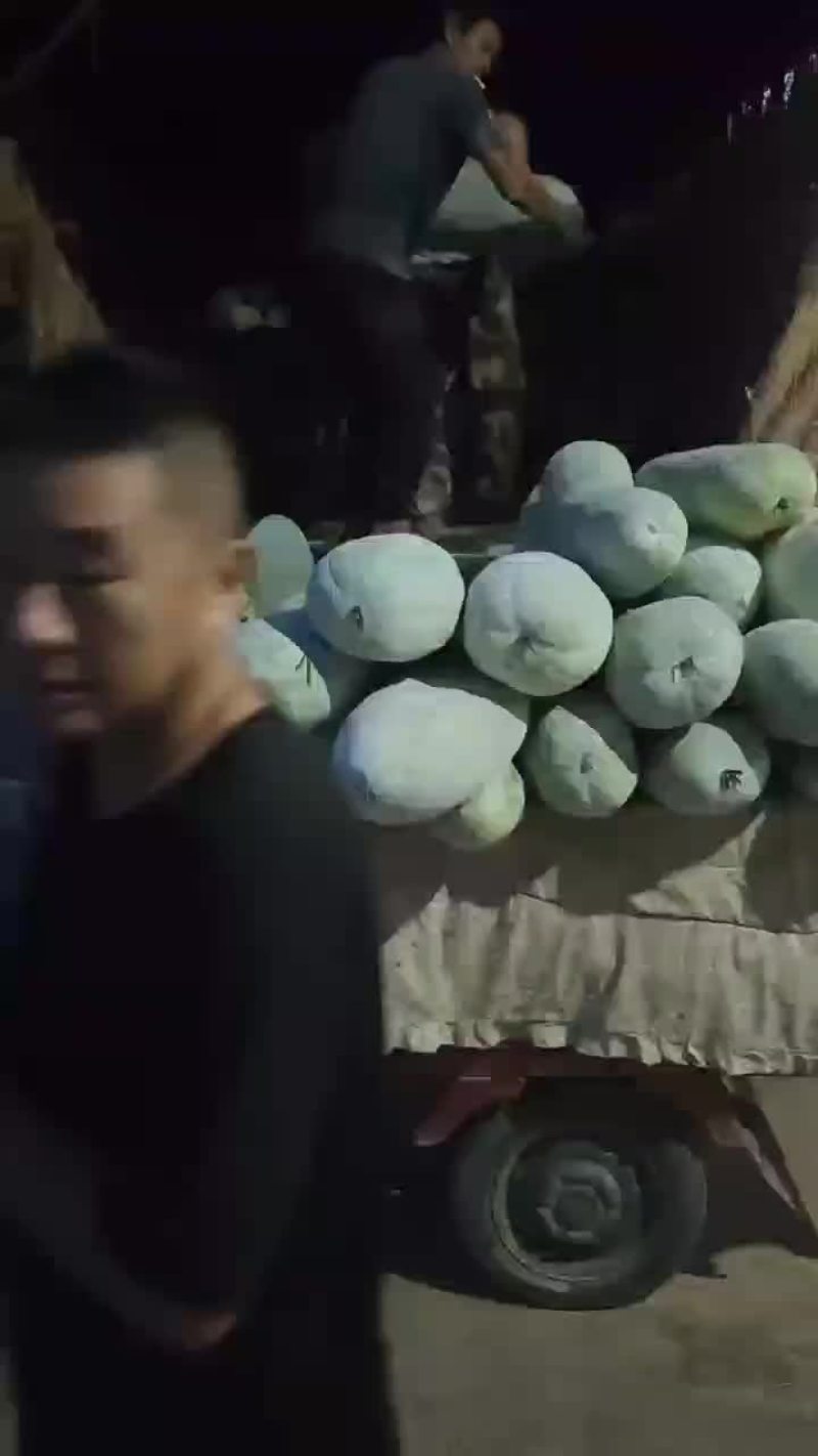冬瓜