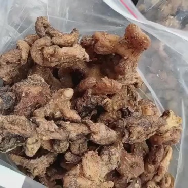野生黄精