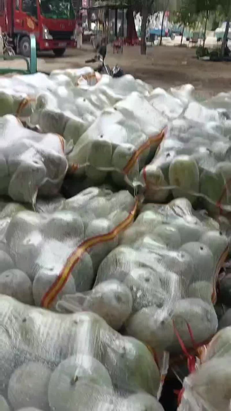 水果冬瓜