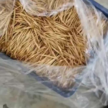 黄花菜，黄花菜
