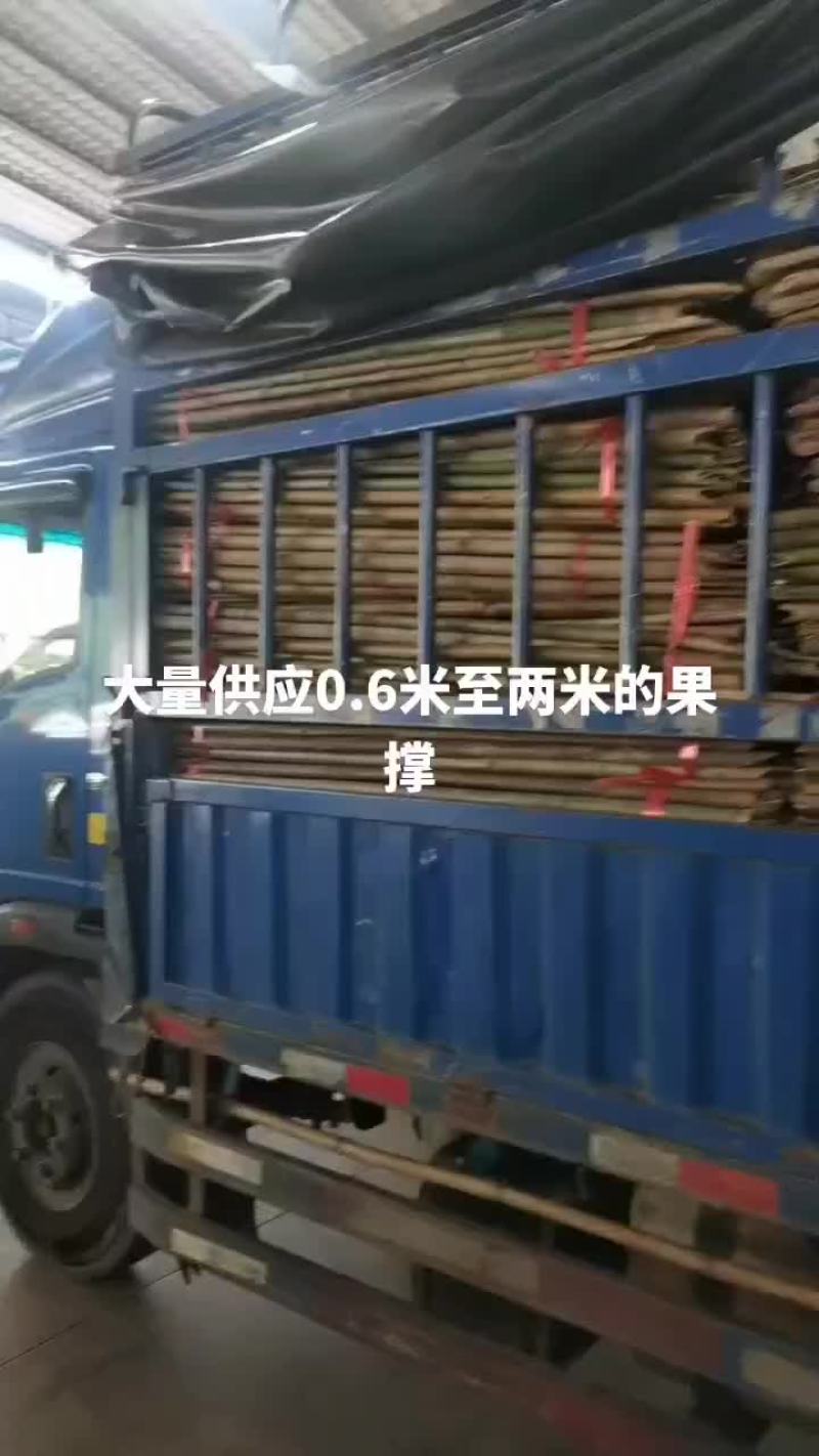 大量供应0.6米至两米的果撑