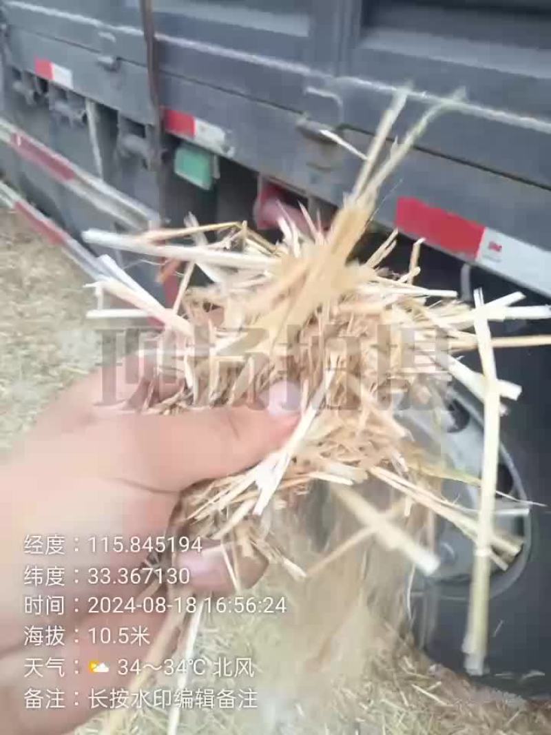 2024新麦草揉丝除尘，无土无霉变，质量保证