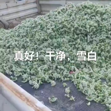 韭花