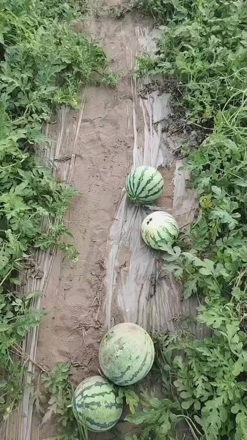 桃