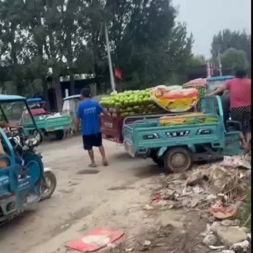茄子