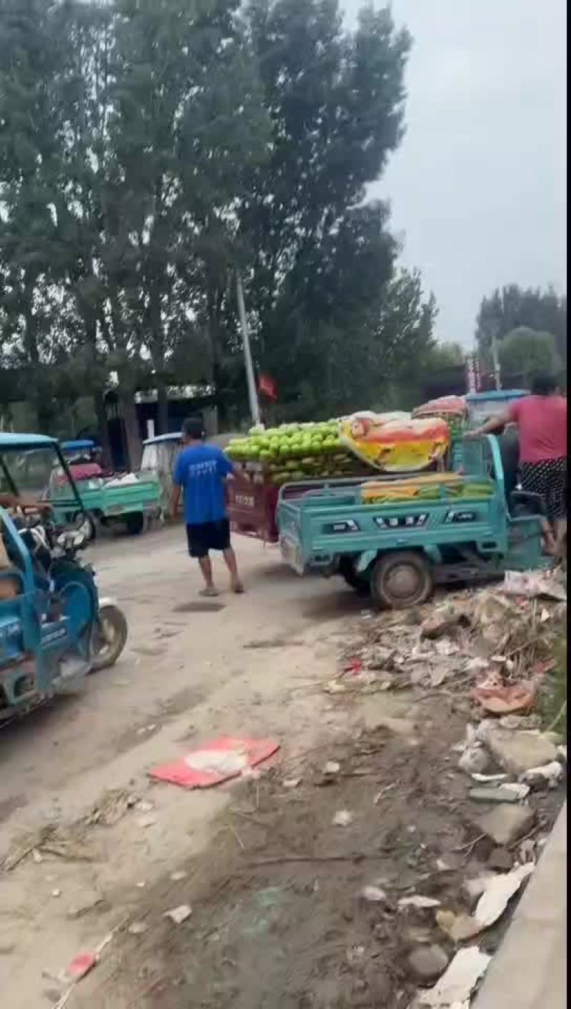 茄子