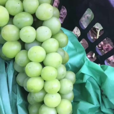 就这质量两块五