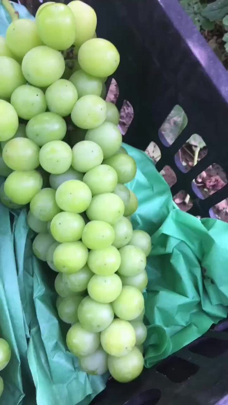 就这质量两块五