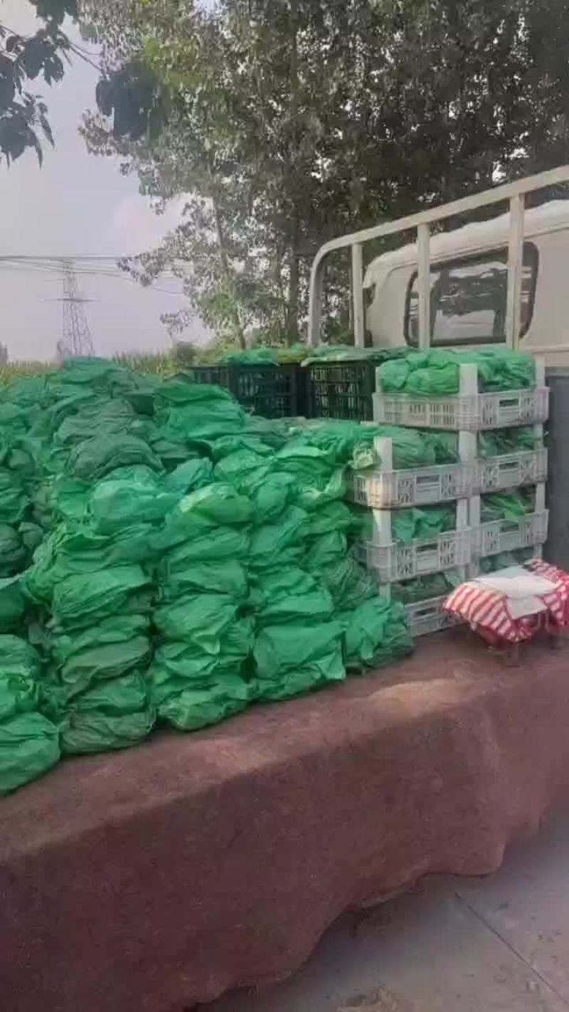 就这质量两块五