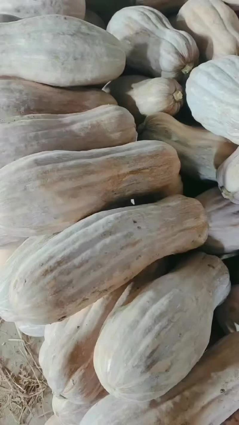 金韩密本九十成熟