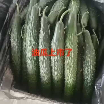 甘肃省白银市靖远县精品大刺黄瓜