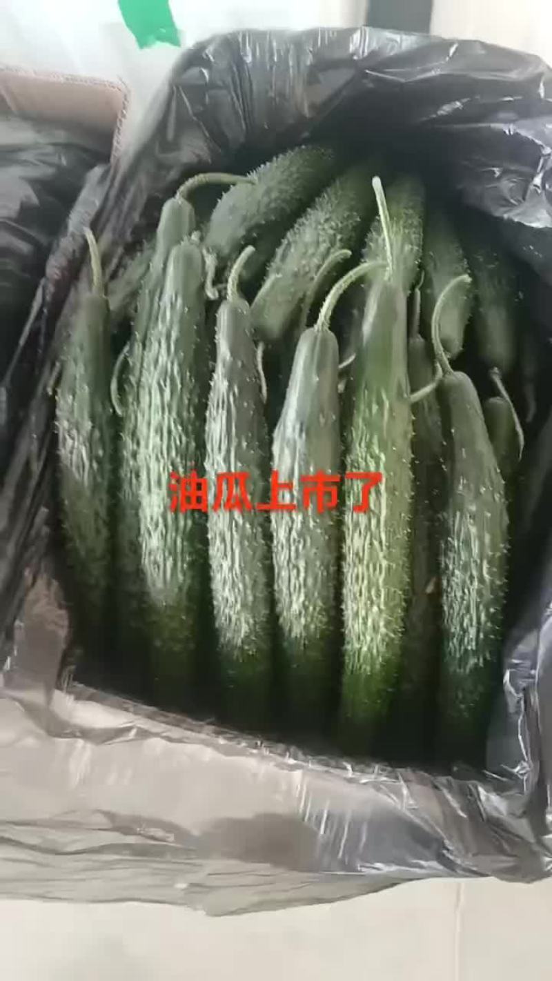 甘肃省白银市靖远县精品大刺黄瓜