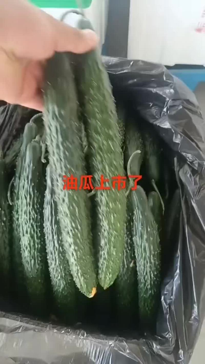 甘肃省白银市靖远县精品大刺黄瓜