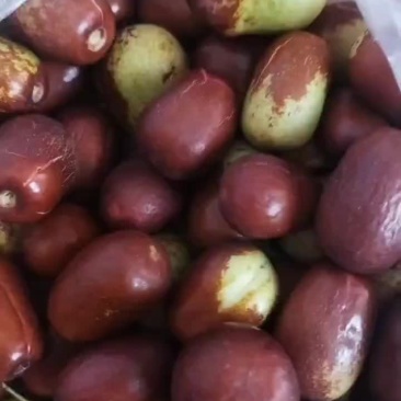 鸡心枣
