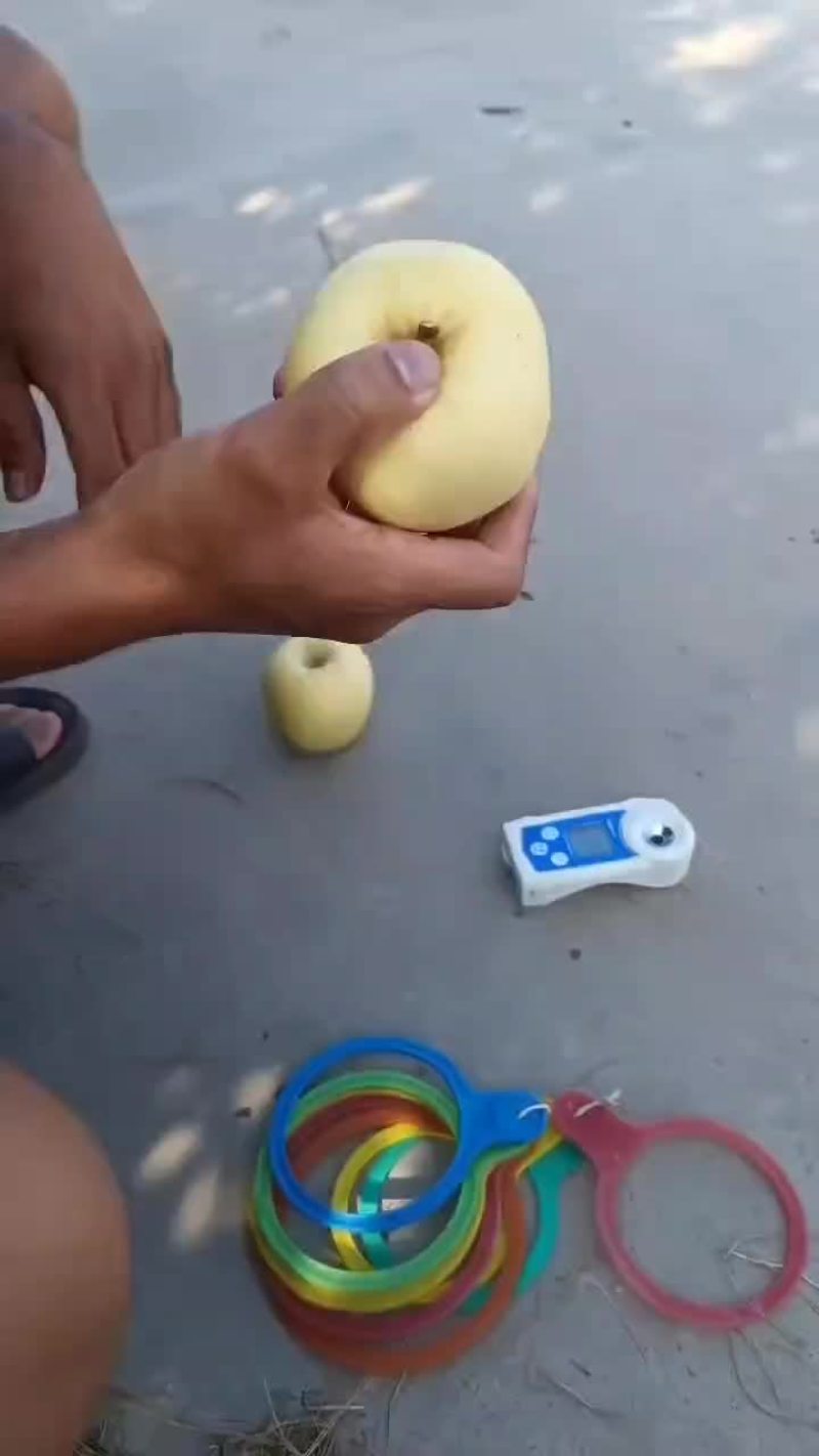 维纳斯黄金苹果