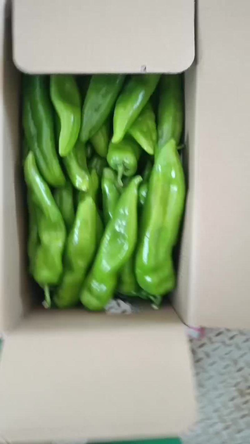 尖辣椒