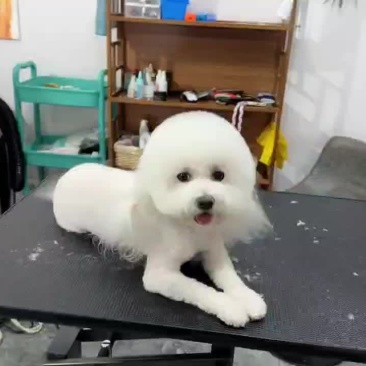 低价精品出售
