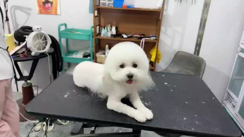 低价精品出售