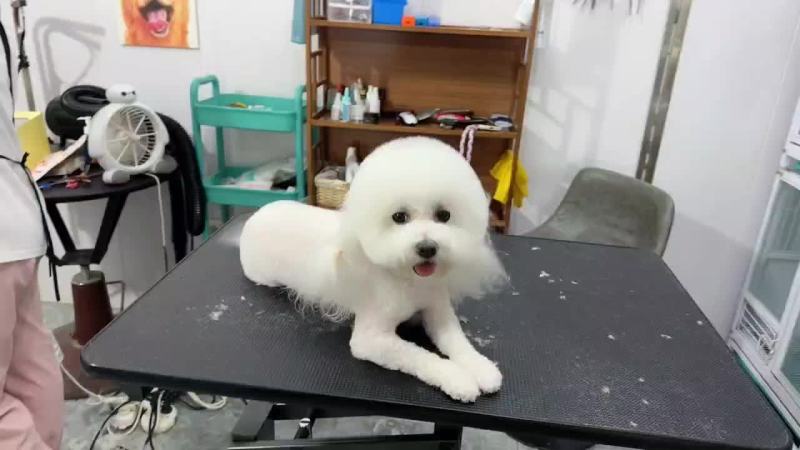 低价精品出售