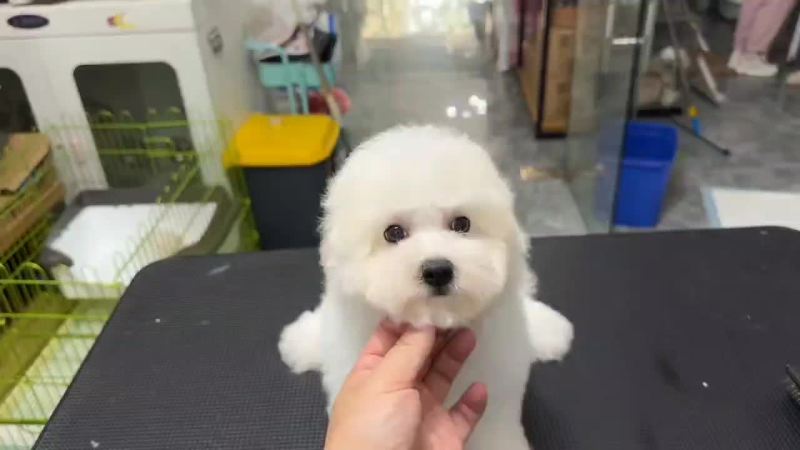 低价精品出售