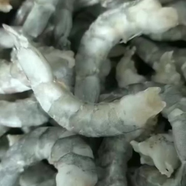潍坊养虾厂里批发无冰衣手扒速冻精品大虾仁，通货虾仁，次品