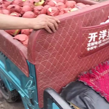 雪花梨