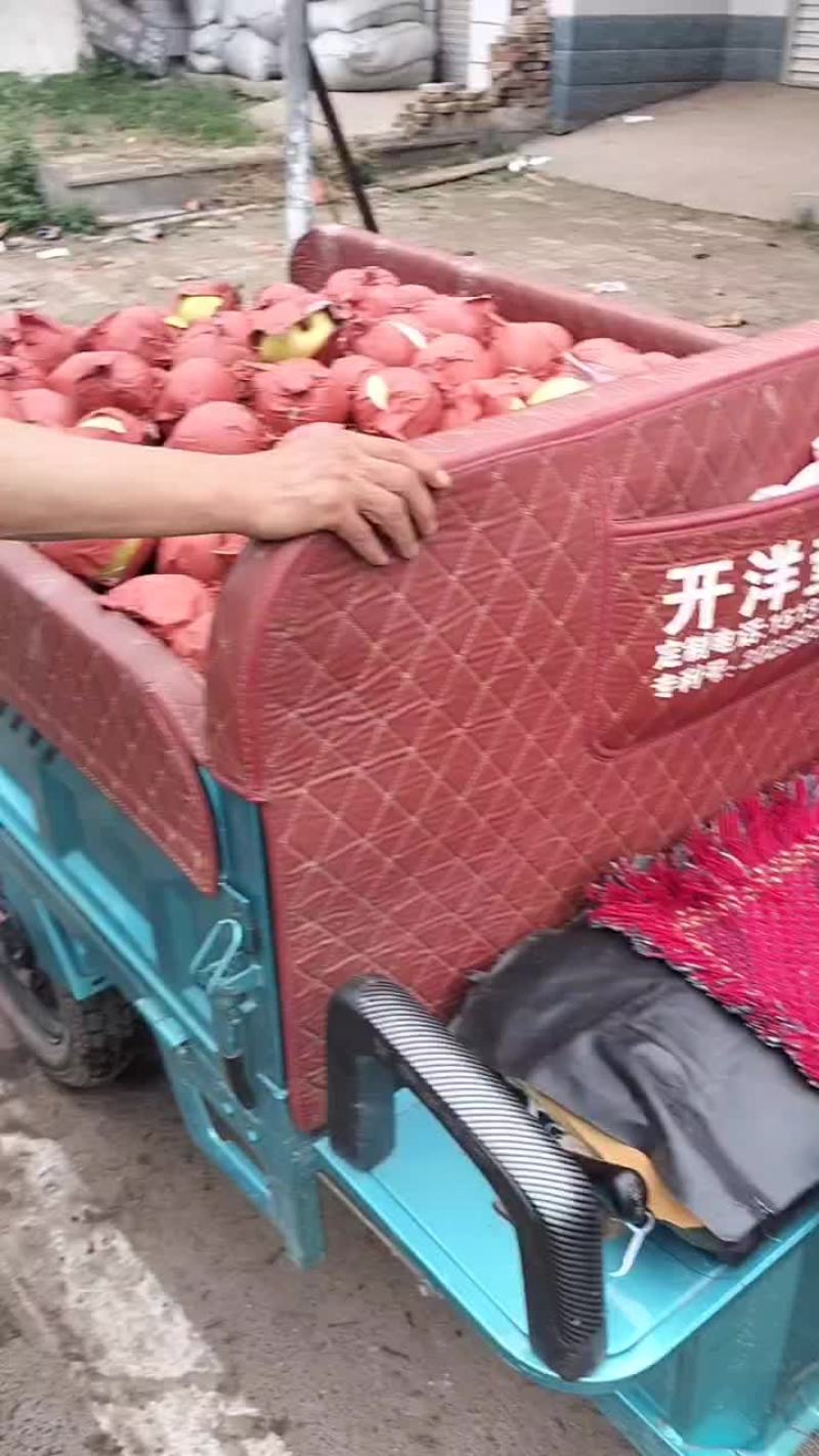 雪花梨