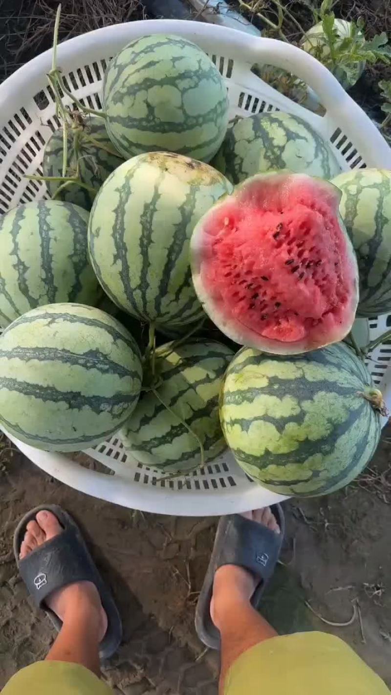 精品二茬有籽麒麟西瓜口感酥脆皮毛好