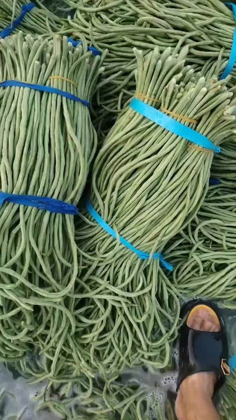 宿州埇桥青条豆角大量供应