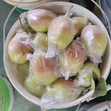 红香酥梨，甜，甜，甜
