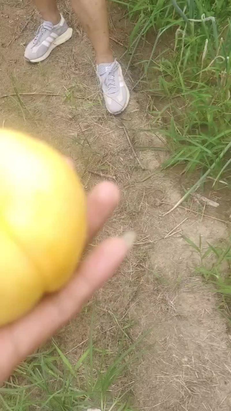 精品风味天后