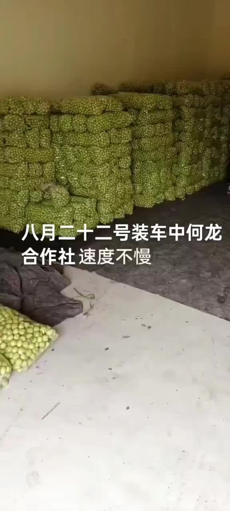 沾化冬枣电商对接一件代发拥有自己的大型场地，专业收货团