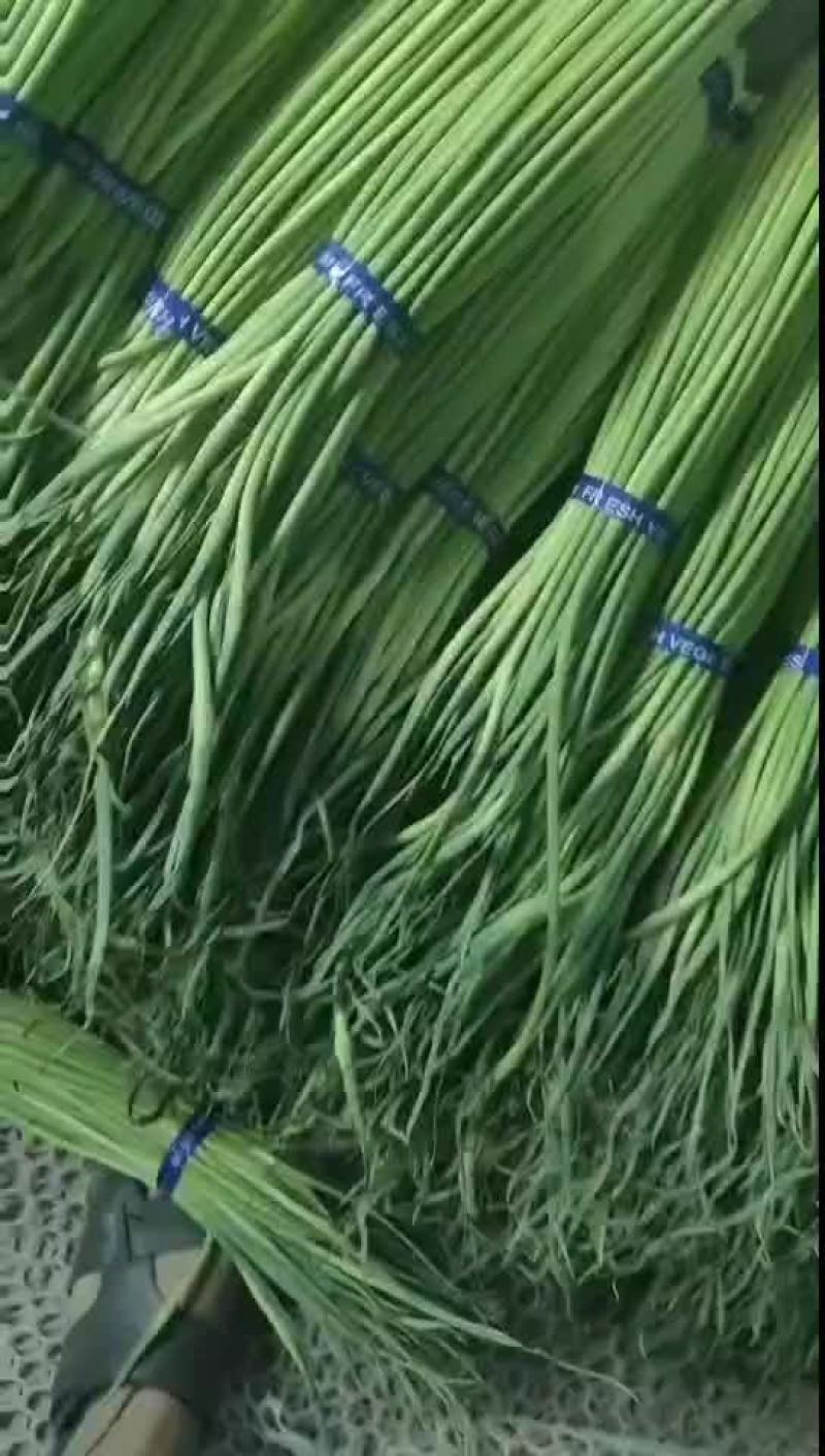 蒜苔