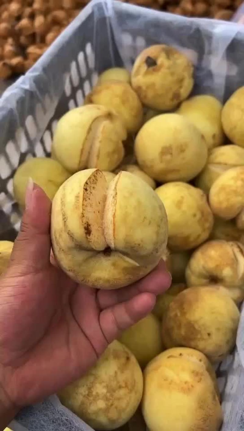 丑桃！爆炸桃。开口笑。