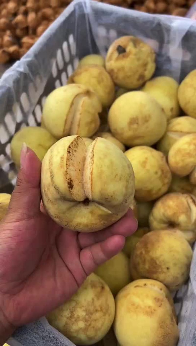 丑桃！爆炸桃。开口笑。