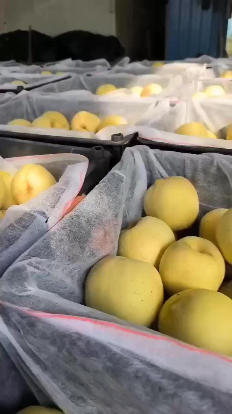 丑桃！爆炸桃。开口笑。
