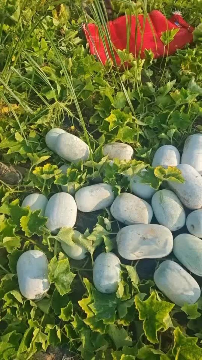 水果冬瓜按需分拣