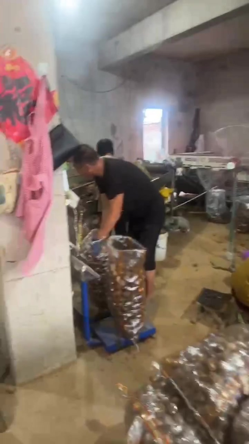 毛芋头大球，中球，小球，通货随到随装，交通方便