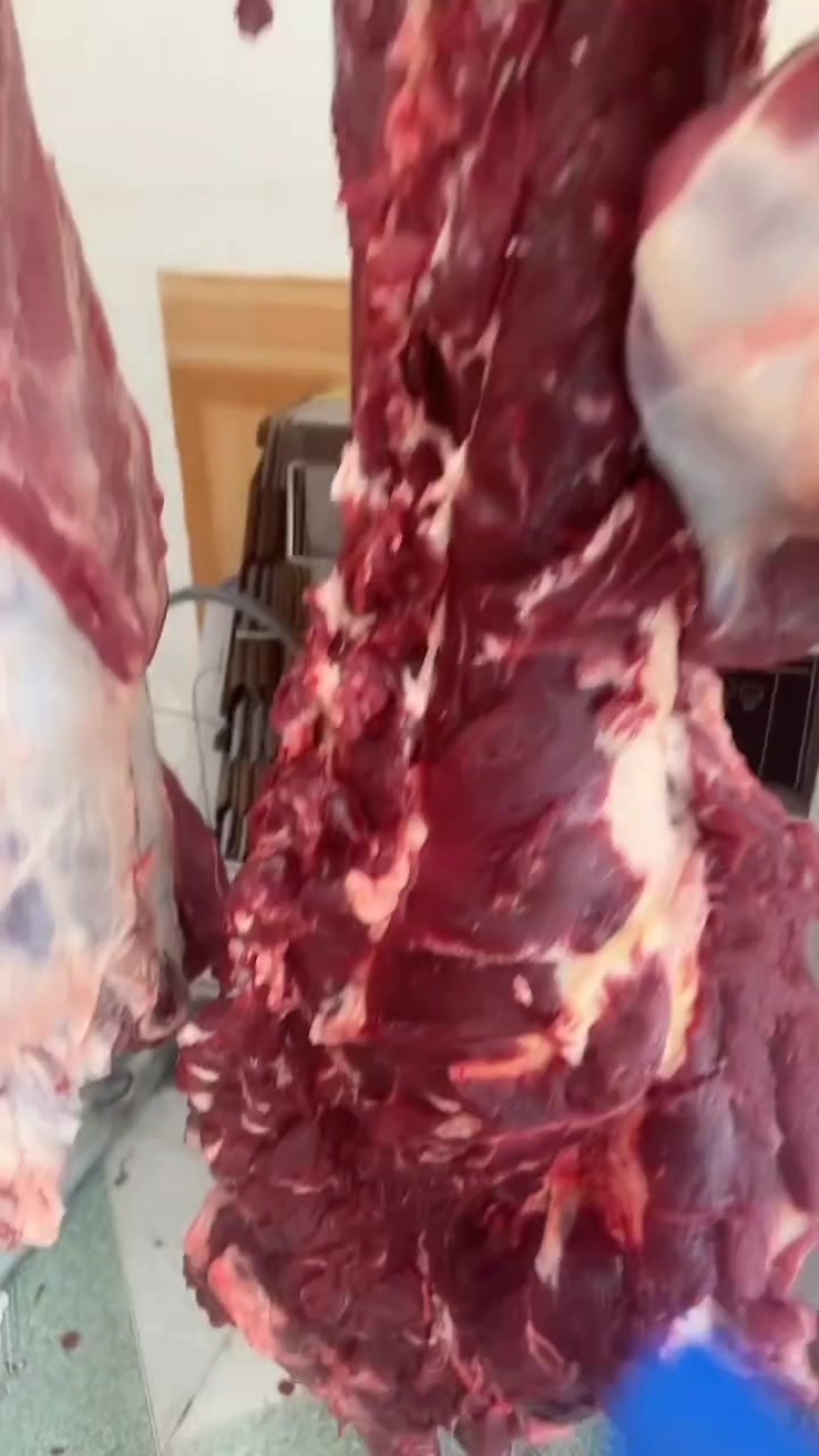 鲜牛肉西门塔尔大公牛，每日新鲜屠宰