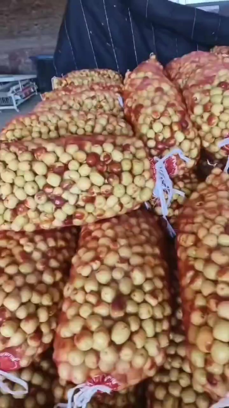 五佛大红枣