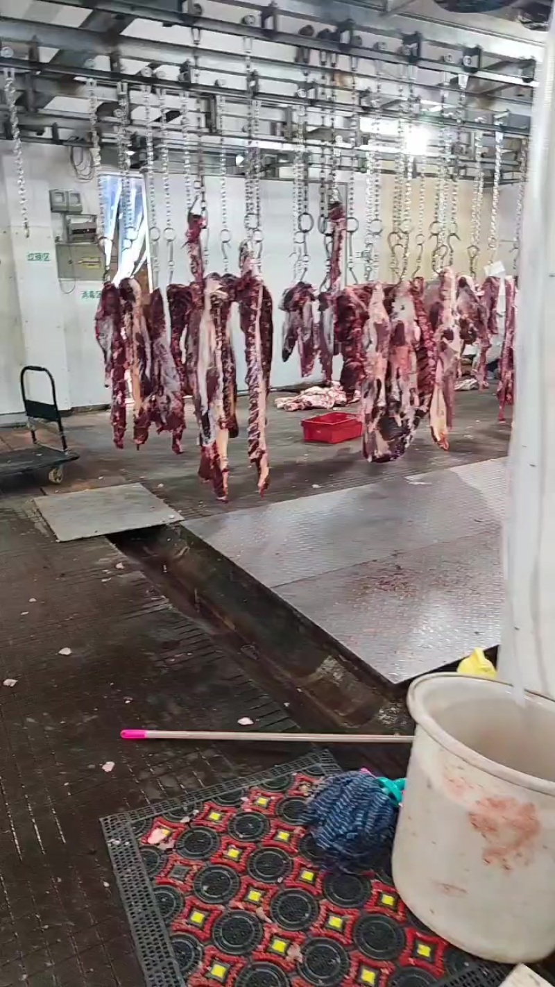 鲜牛肉批发