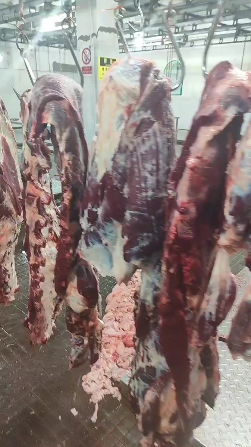 鲜牛肉批发