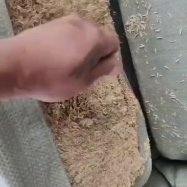 压缩稻壳发四川继续装货中
