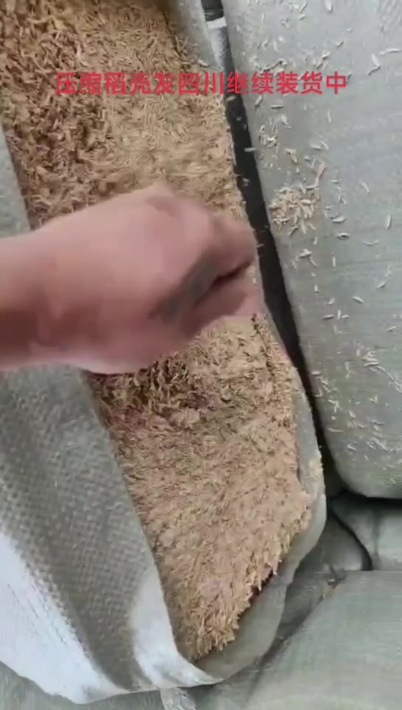 压缩稻壳发四川继续装货中