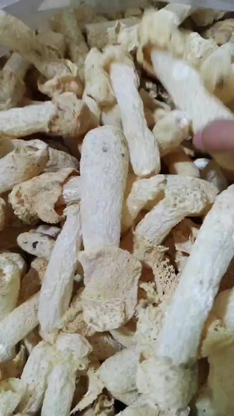 福建省古田县食用菌食用菌之都