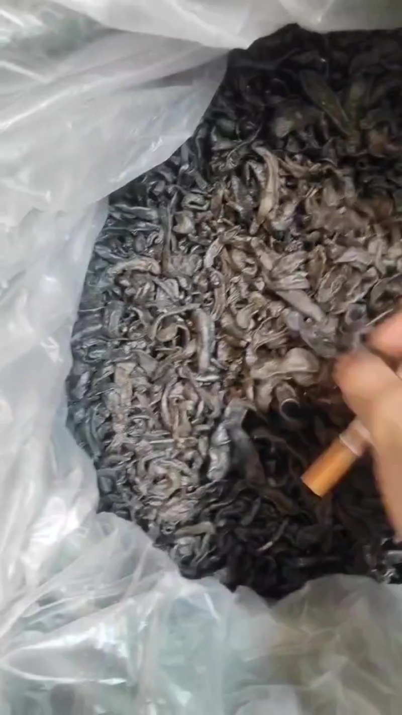 水蛭，清水小吊干