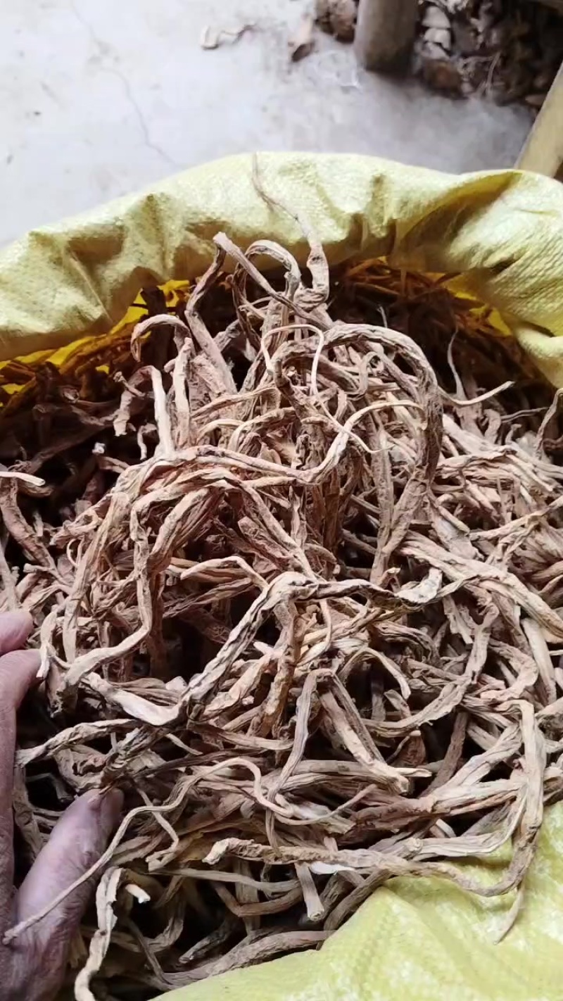 小红参，茜草科植物，中草药小红参，山货无人工干预