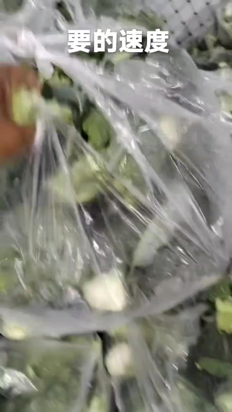 西兰花