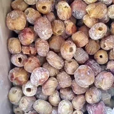 蜜枣**电商